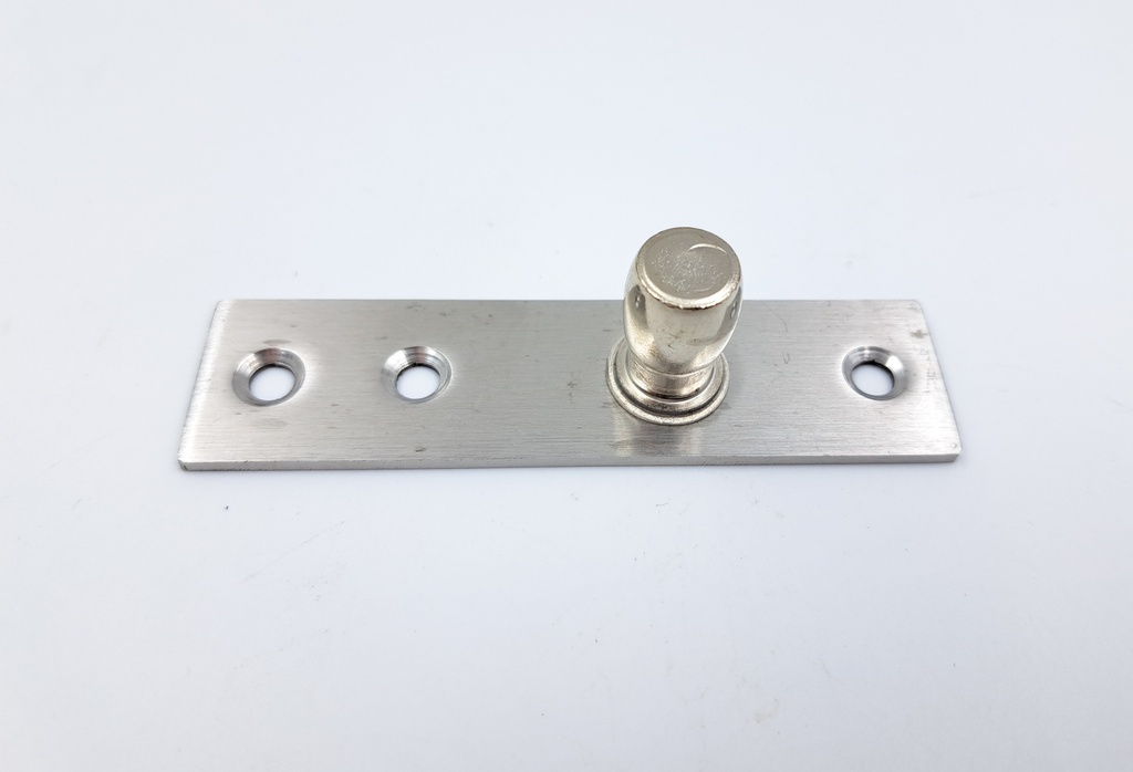 Pivot For Glass Door