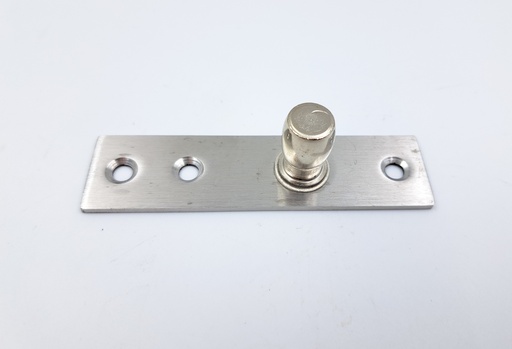 [Glass-Acce-Pivot-SS201-SSS] Pivot For Glass Door (SSS)
