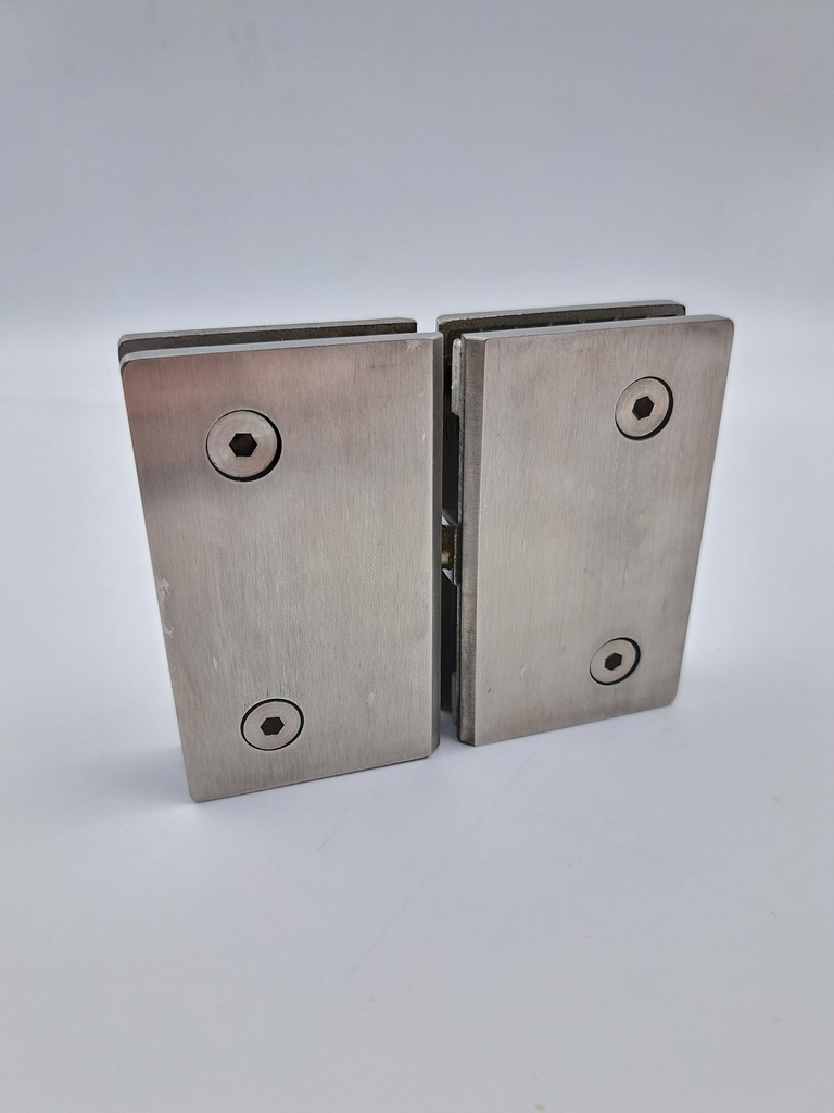 Glass/Glass Pivoting Hinge